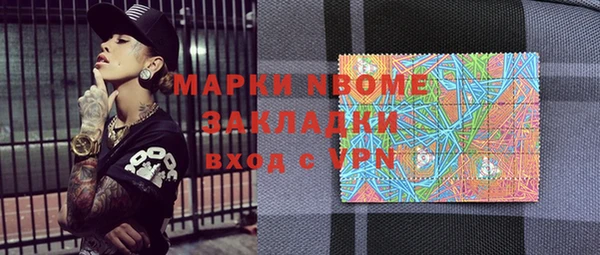 прущие грибы Кулебаки