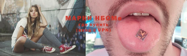 прущие грибы Кулебаки