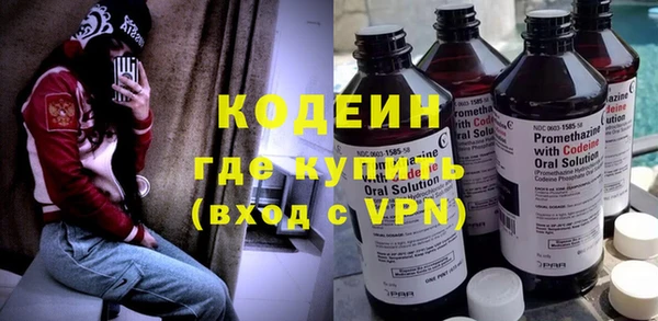 прущие грибы Кулебаки