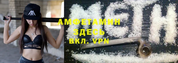 прущие грибы Кулебаки