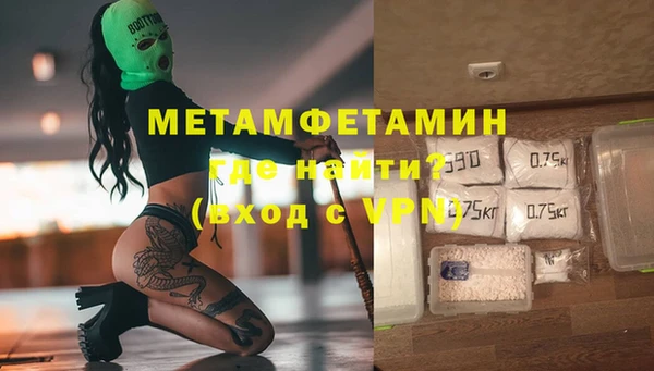 прущие грибы Кулебаки