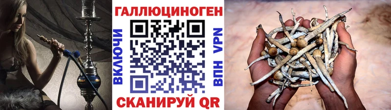 Псилоцибиновые грибы мицелий  Купить где  Барыш 